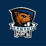 ССК ВГУ «Хищные Бобры»
