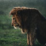 𝓘𝓶𝓶𝓸𝓸𝓻𝓽𝓱𝓱