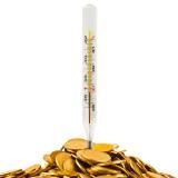 Profit Bonds