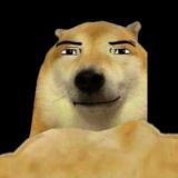 Логово догов👺