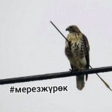 Фаберлик продукты