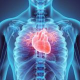 Кардиология