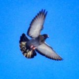 Москва. Kary_Noss