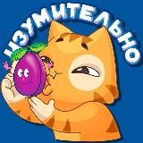 Главная | Clean Slivs