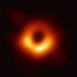 твоя будущая