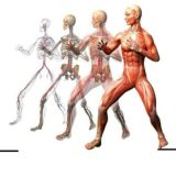 ❗ЛФК ФИТНЕС ДИЕТОЛОГИЯ РЕАБИЛИТАЦИЯ МАНУАЛЬНАЯ ТЕРАПИЯ БИОХИМИЯ