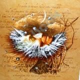 Искусство сновидения