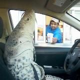 🏝 average zeitgeist enjoyer