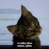 Кружок по фронтенду