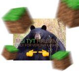 ВЕРОНИФКАС ЧАТ