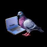 Вакансии в IT | ИТ