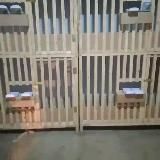 Dakan Qafaslari va Brooder Dastafka o‘zbekiston Bo‘ylab