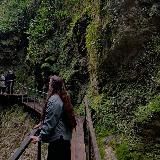 Литературная зависимость