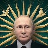 Новостная лента