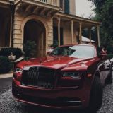 Отзывы бота 💐