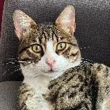 OnlySrans жизнь 🥰