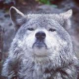 𝕠𝕣𝕒𝕞𝕖𝕣𝕒 𝕟𝕠𝕙𝕔𝕙𝕠