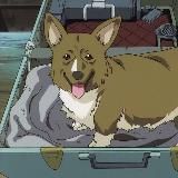 No time for Third Impact