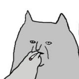 Мемы с животными