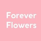 Anna_Flowers