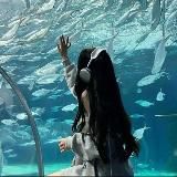 ꒰꒰ вишневый сад 🐾 𝘇 𐰁