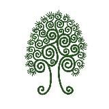 Сибирский кедр🌲