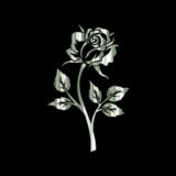 🥀____🅳ós🆃🅻a🆁_🅳a🆅🆁as🅸💯