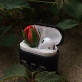 سَنَمْضِي اُسُوداً