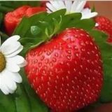 МОУ «Лицей 26» дошкольное отделение