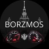 BORZMOS