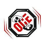 Смешанные единоборства