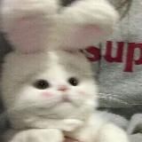 забытый дневник