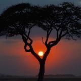 Новостройки Краснодара🏢