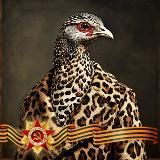 КУЛЬТУРОПАТКА