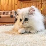 Логово Палача⚔️