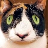 Лайфхаки для гениев