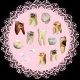 🎀Анатомический театр Такумо🎀