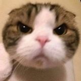 𝐎 𝐒 𝐂 𝐀 𝐑😂