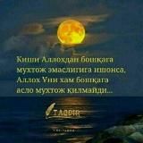 Шукроналик мўжизалари 1