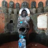 Дикие туры 🇮🇳 Индия | Гоа | Гималаи