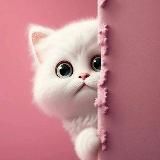 Нежное настроение 🌿