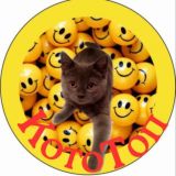 КотоТоп