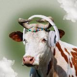 Как звучит твой завтрак