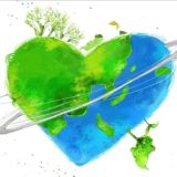 Mundo Lombricultura - Lombriz Roja Californiana Eisenia Foetida