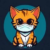 Медицина и котики