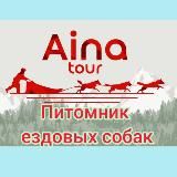 Айна Тур 🐾 Собачьи упряжки Сахалин🐕