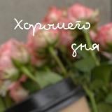 Открытки на каждый день