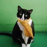 Что посмотреть? Веном 3 Последний Танец