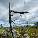 Беговые приключения