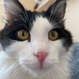 СЛИВ ДОЛБ ХАУСА 🥵